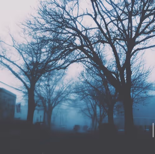 Item #65153916298700067522083748554750574777242795921079823153433125660664457592833 Media