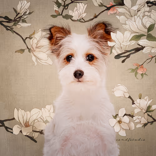 Item #8036610274517614856282005705215780499318604713549687172679363555549553623043 Media