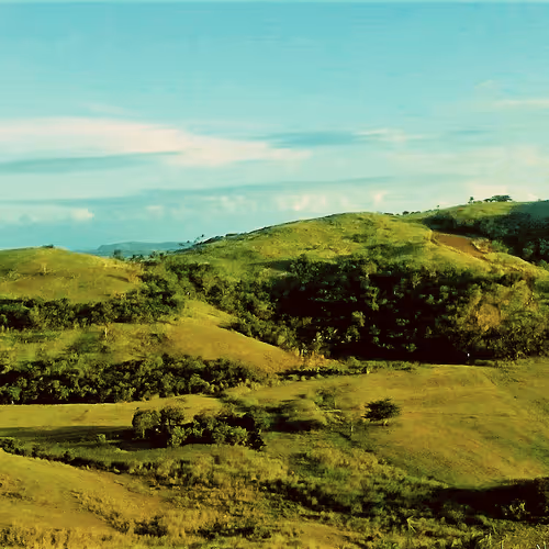 Item #68332978686613150640023856908265319061960477070099348724218658736819861979137 Media