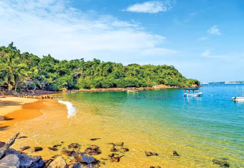 Item #10009359903282094537398543197541078073067770590855434614987939585309546643466 Media