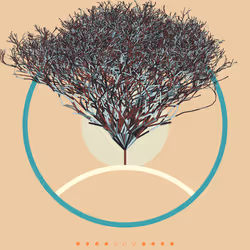 74168867016011539093366687608765447348507224284888477074887990573097713401857