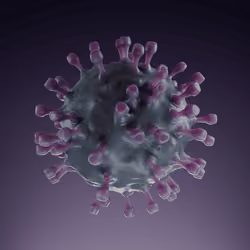 Harmet purple virus