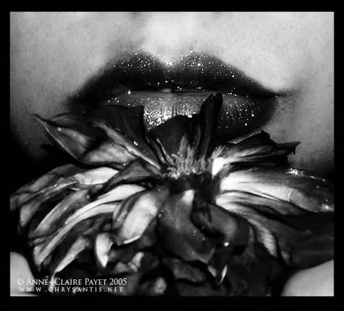 Item #111193218261893121652466074997112448797378704936249251728306630218333856727041 Media