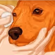 66154160960898522773462406099657929853507254008088435246175680873564716662794