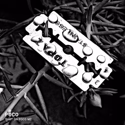 46350826922713376961135555411304900681353911078393456455611000782012041658380