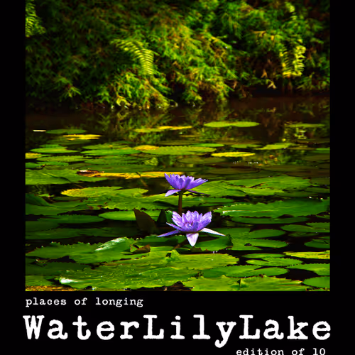 Item #54092708251689304060008626725907944876680074354438048784149165931019873812490 Media