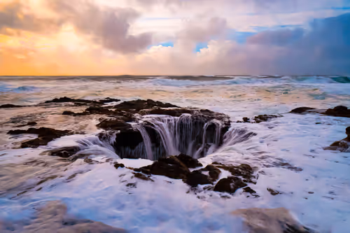 Item #37500018886324651166210288034401330052092481048438258584651800275802824638465 Media