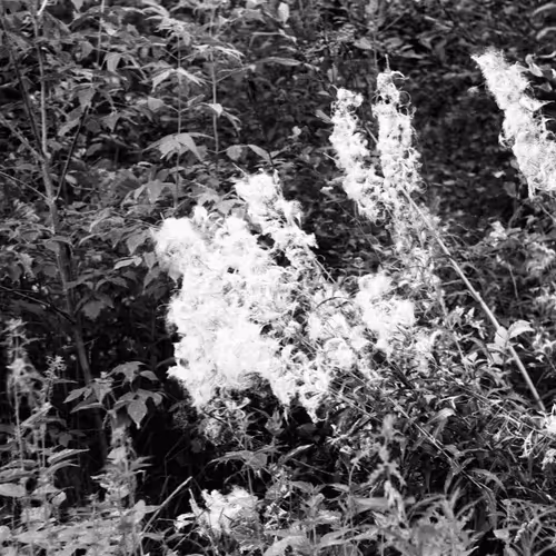 Item #34811634924862855090105769671786307071201187759740501250683185480432751738881 Media