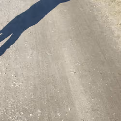 Schatten 