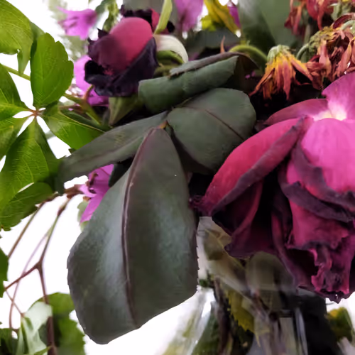 Item #87003207589931118822218281437448867168500866218263883081320957844021963653121 Media