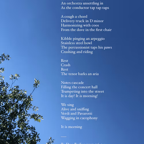 Morning Song - Poem by Doodleslice