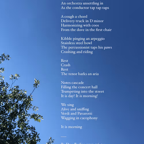 Item #75336923008500232159342618522959633103612975228163645803230217340433117216769 Media