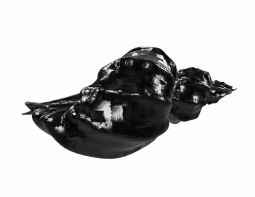 Item #101986064897505636192511017458813156695915810452106734016551982833086456922113 Media