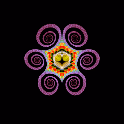 Item #4131897813448906462745634582915602247361068042784661963119482915312457744385 Media