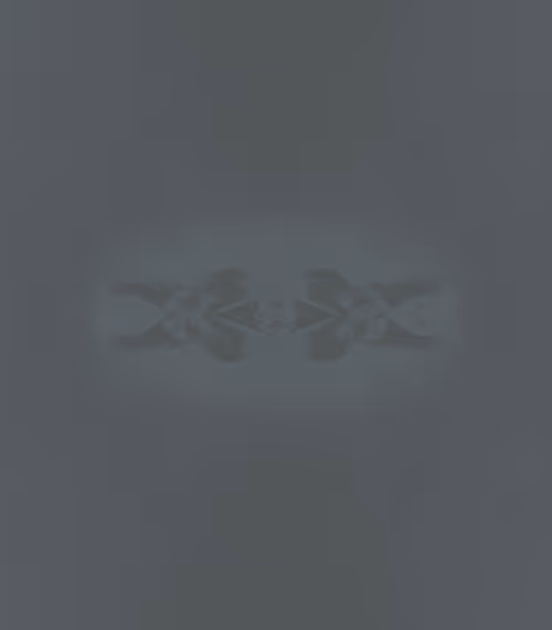 Item #68427909679447941231743493608741237443738368939877152009188991869598849564673 Media