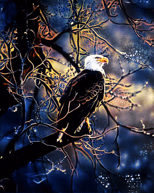 Item #89729483528432656041858195077717803775231662886555176045786539657558803611649 Media