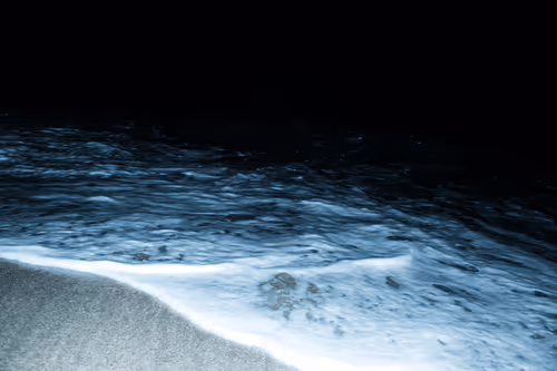 Item #65334289746679534718729475887804441956060191570096093289886828058593726562305 Media