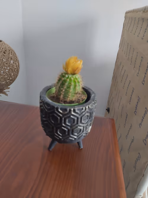 Item #106597562129877688518074183313556473389448438799940443127829440805749011775489 Media