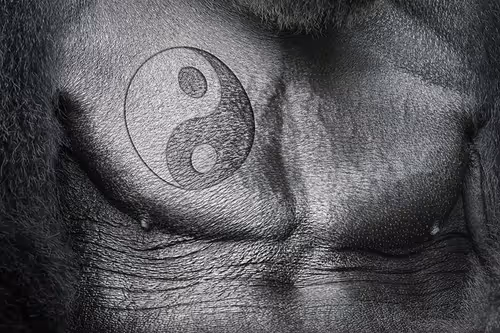 Item #1404736516812143796737347139805797685976196264274011436096350900897569570817 Media