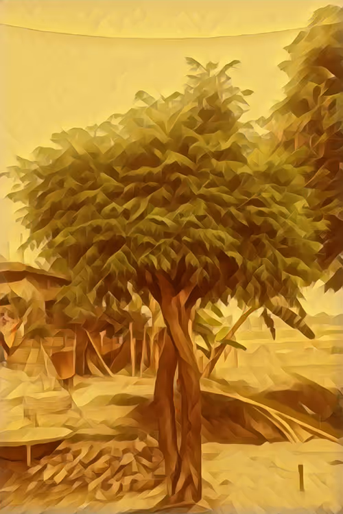 Item #53344357632477815300370085821507821745666874647266618234079417750055783759873 Media