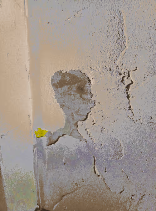 Item #22280596376545601748962735475346285949380965232993132913848984997713472913409 Media