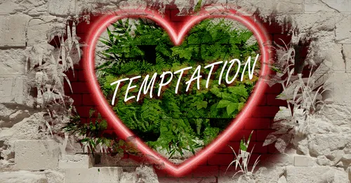 Item #68053287575525751288269231675427811746861684968250582901590729411113718383592 Media