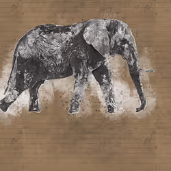 11276162529628641556553056529614973332754405277106184420845745610661382062081