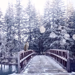 108175385754913638577213036180834446424025282254093362741569171467524554883073