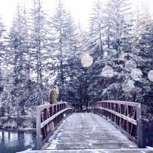 108175385754913638577213036180834446424025282254093362741569171467524554883073