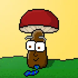 33741781216748986518517832568595493503429706584982134247768926130557536960513