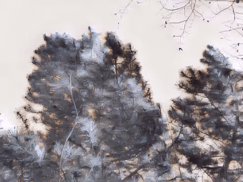 Item #47363753603702379708308966357623410528548816847410412850833506715752139325540 Media