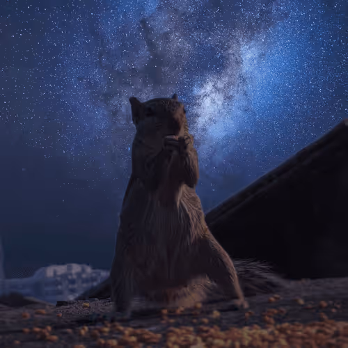 Untitled Collection #52819030