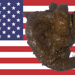 SHITTY FLAG OF USA