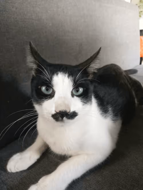 Item #89331665747570926078978904565151837822788080939742704876963867121597152231425 Media