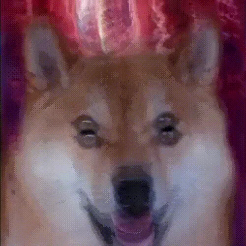 36533596981734237327638993726940448987342655359125253681290659223827273220097