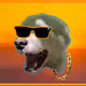 58318350117463640302471698608588344834252095039542467165361453444689112858625