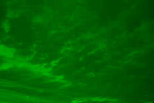 Item #102771070306004819985898819999052787652815039064996374663455445987308456640513 Media