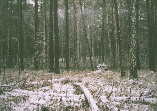 Item #39781805688626842994046507888546694714899270474383352618679520661089625833473 Media