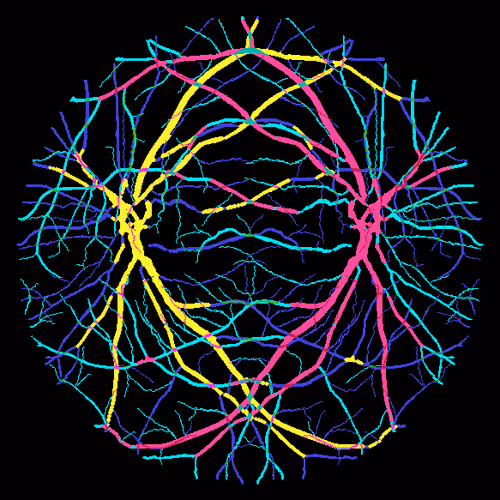 Item #7078802064077755305879053961196844759257248211509687953083586655457971798017 Media