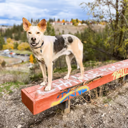 93545033271846001454118804230311667247513649279000342993662872582588668575745