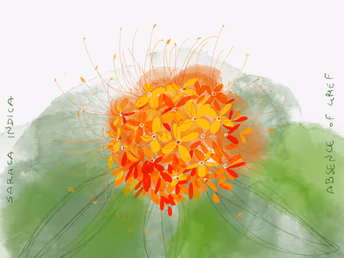 Item #36852278608857291470989576231944557876708875347652874372458497593563796209665 Media