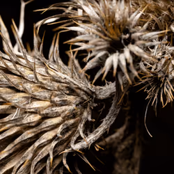 93437413673241477184719516664819130297052764633557001940307578634203970928641