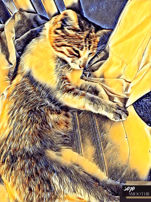 Item #70173555060280459679020221103172679865592931086946583501557978886499083485185 Media