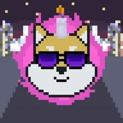 Rocket Shiba #6204