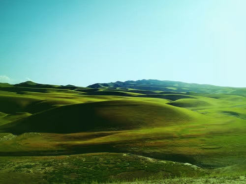 Item #68177239455811159804624482287784315305842900263845865020942447605214208851969 Media