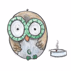 Beam Owl