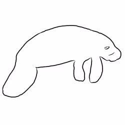 NFmanaTee