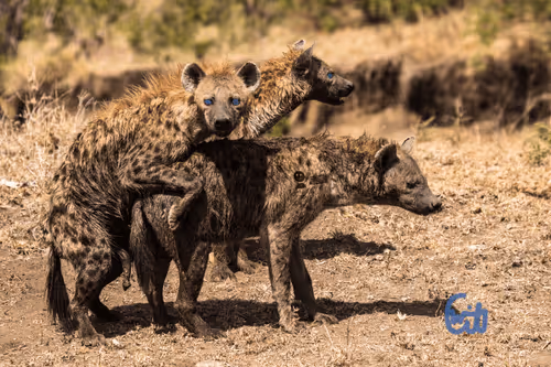 21286616541368493270952273154919658706491111186853565386377985458698006298625