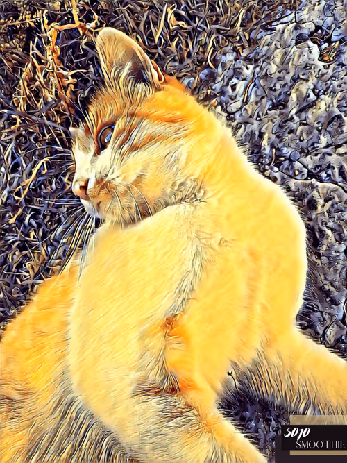 Item #70173555060280459679020221103172679865592931086946583501557978897494199762945 Media