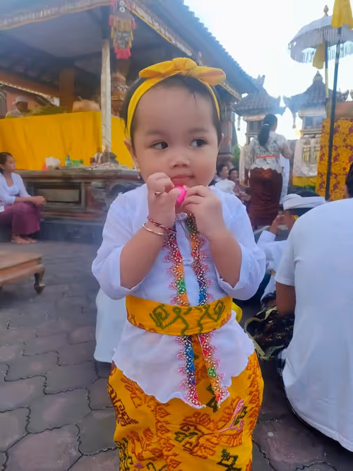 Item #51198950727353000400182026279026974017434036809871363174420400695345374298113 Media